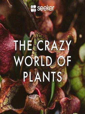 cover image of The Crazy World of Plants